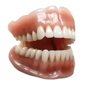 𝐇𝐢𝐝𝐨𝐧𝐞® – 𝐏𝐫𝐞𝐦𝐢𝐮𝐦 𝐆𝐞𝐛𝐢𝐬𝐬🦷