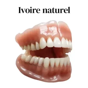 Boutique Officielle | 🌟Ensemble Complet de Dentiers en Silicone HEATWOLF® 🧑🏼‍⚕️Recommandé par l’Association Dentaire Française (ADF)