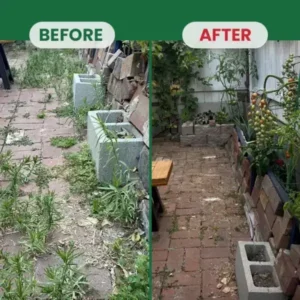 YOBENSUN® Weed Destruction Powder