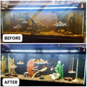 AEXZR® Aquariums Aqua-Guardian Blend