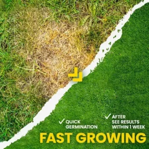 AEXZR® Green Lawn Grass Sunny Spray